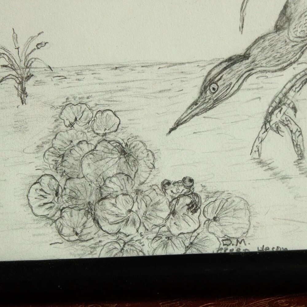 Vintage 1990s 2000s Framed Print, Pencil Sketch of Heron and Frog, Black Frame - Picture 3 of 14